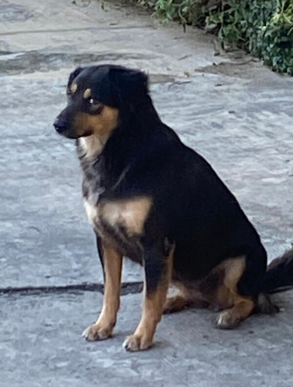 Untitled Untitled